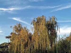 Kunming - Parc Cuihu - 69